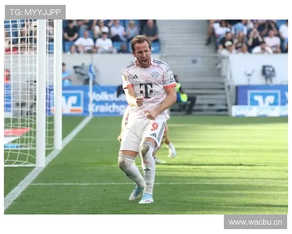 哈里·凯恩巅峰赛季进球效率与英超金靴含金量解析