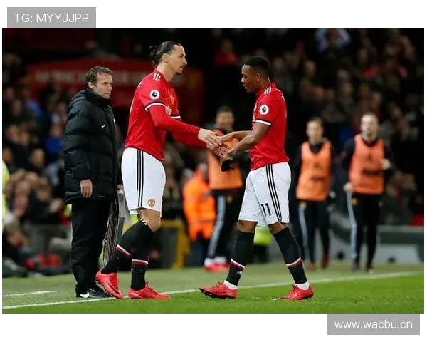 伊布拉希莫维奇去超市结账那一刻，差点以为自己走进了大牌发布会