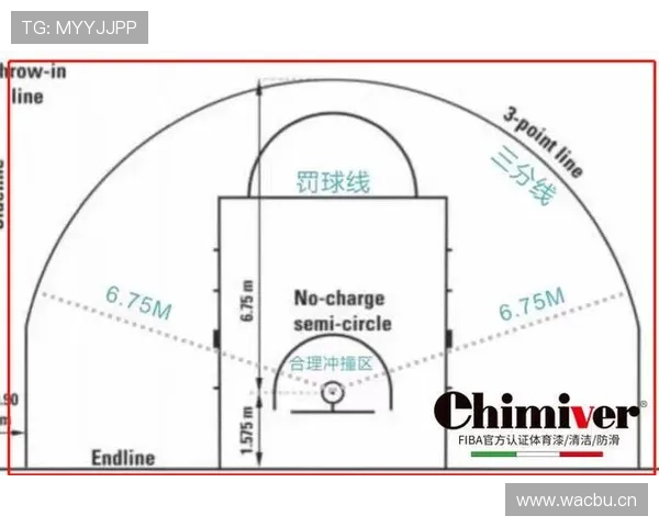 《篮球规则详解》新手必读：后场规则是什么？3分钟教你搞懂基本概念